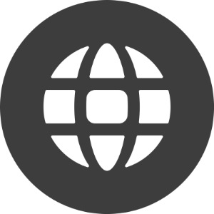 icon web