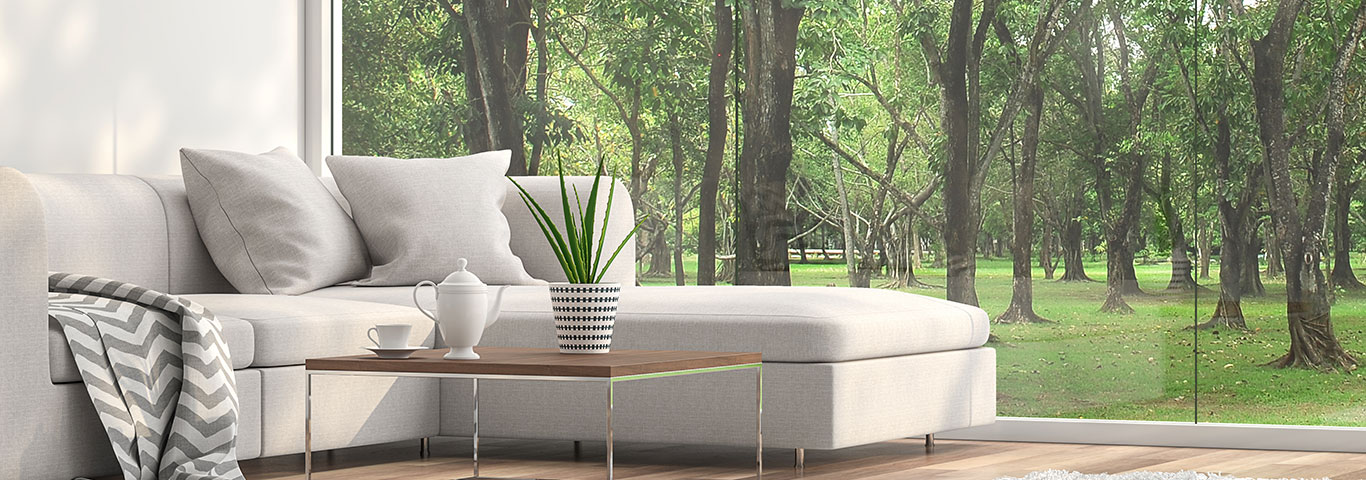 Delta Indoor Air Quality Solution