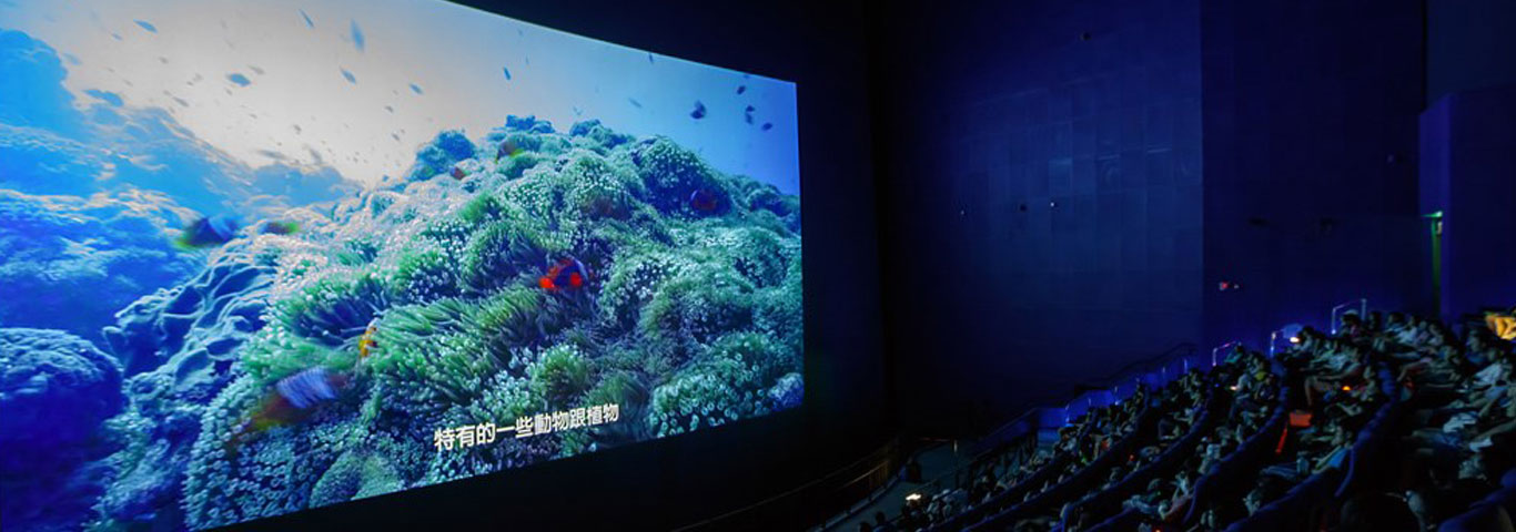 Delta Display Solutions