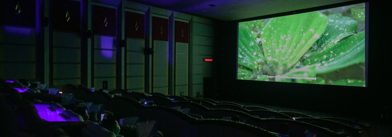 Delta 8K Projection