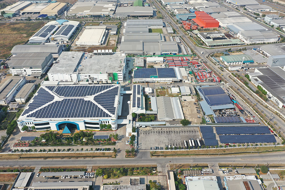 Delta Plant 6